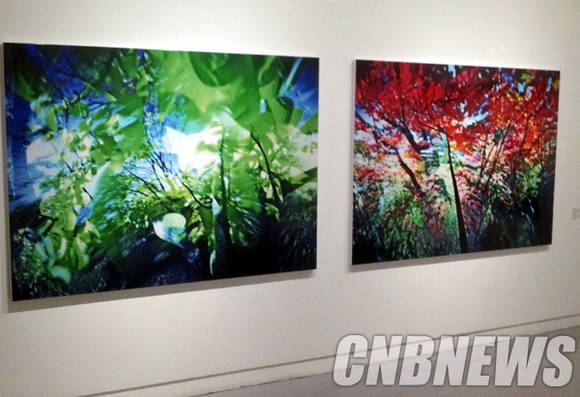 사비나미술관에 설치된 주도양 작가의 작품. 곤충의 시점에서 바라본 세상을 표현한 작품들이다.(사진=김금영 기자)