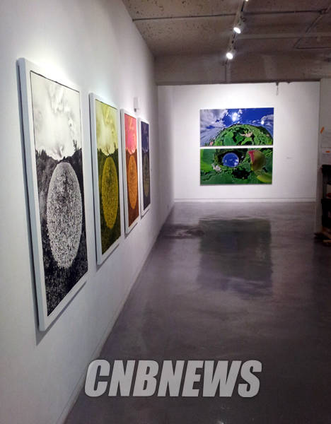 '곤충의 눈 - 시선의 기원'전이 열리는 사비나미술관 1층 일부.(사진=김금영 기자)