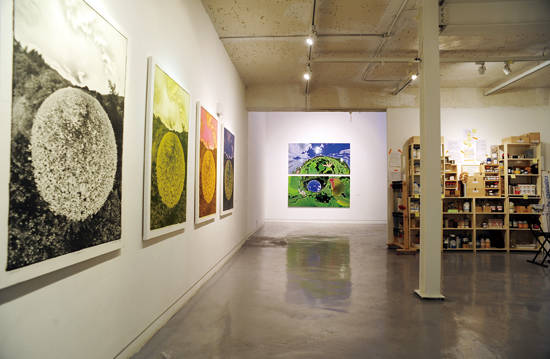 주도양 사진전 ‘곤충의 눈 - 시선의 기원’ 전시장 1층 전경. 곤충이 바라보는 세상을 작품으로 표현했다. 사진 = 사비나미술관