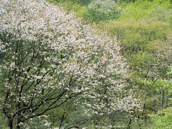 최봉림, ‘0’. 잉크젯 프린트, 98.6 x 131.3cm. 2012. 사진 = 갤러리 룩스