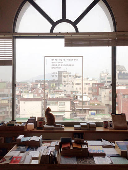 고양이가 있는 유어마인드의 창가 풍경. 사진 = 유어마인드
