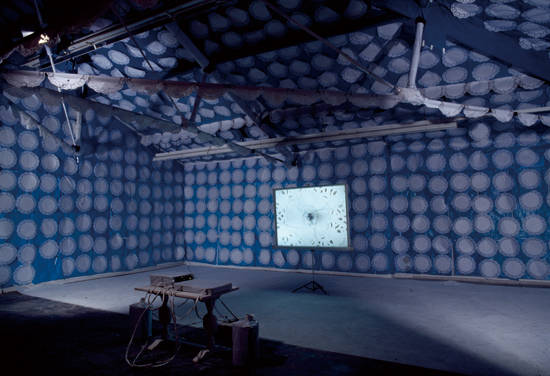 김성환과 레이디 프롬 더 씨, 12 minutes, 2005년 라익스 아카데미에서의 설치 광경. 사진 = 아르코미술관