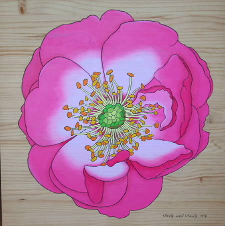 장성원, ‘Love for You(당신을 위한 사랑)16-6_분홍장미’. 나무 위에 오일, 60.5 x 60.5cm.