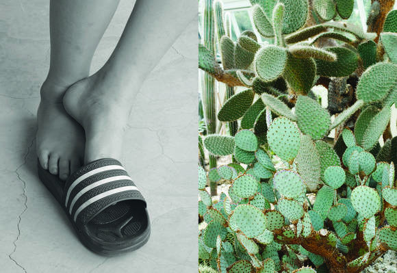 정희승의 아티스트 북 'ROSE IS A ROSE IS A ROSE'. (사진 = 헤적프레스)