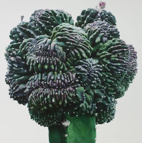 이광호, 'Cactus No.9'. 캔버스에 유채, 152 × 152cm. 2007.