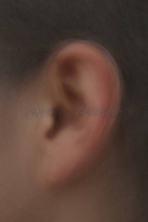 김서량, '메이 아이 포토그래프 유어 이어스?(May I Photograph Your Ears?)'. 40장의 사진(160 x 107cm). 2015. (사진 = 김서량)