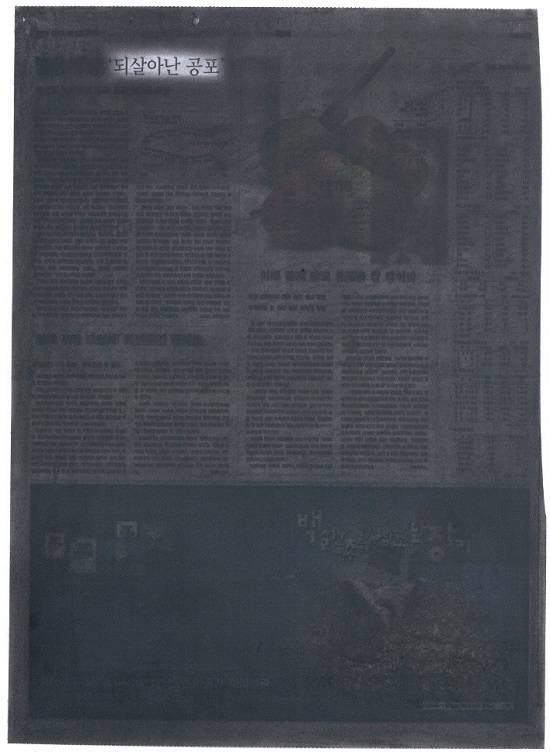 연미, ‘되살아난 공포’. 신문에 드로잉, 56 x 38cm. 2009.